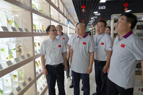 �ι�ŷ��ABG��ҩ�걾չ����