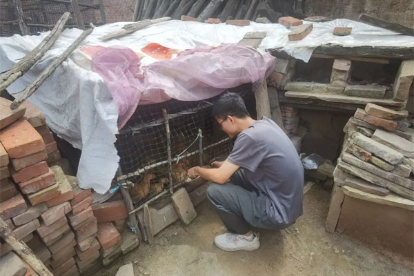 ��ƶ������,ŷ��ABG