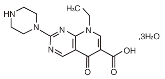 ������Ƭ