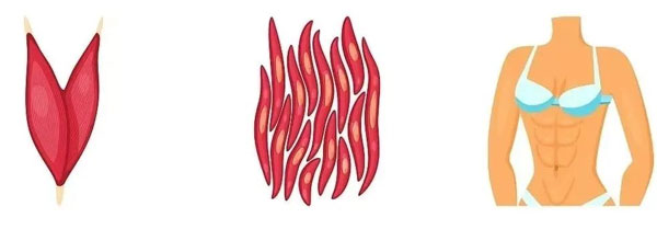 ��ԭ����,���佺ԭ����,��ԭ������