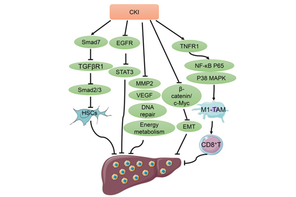 �������ע��Һҽ�θΰ�