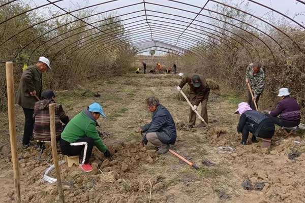 �ʰ���ʹ,ŷ��ABG,��ҩ��