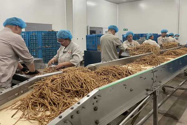 ��ҳ - ŷ��ABG���Ź�����¼