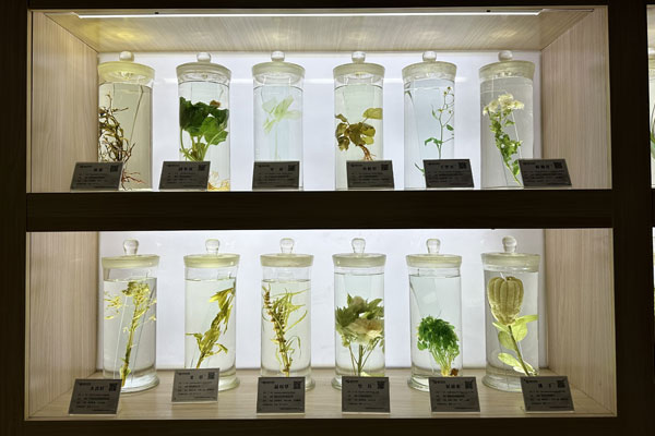 ŷ��ABG�Ƽ���������ڷŵ���ҩ�걾