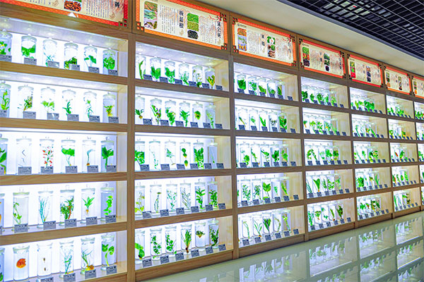 ŷ��ABG�Ƽ�������ҩ�걾