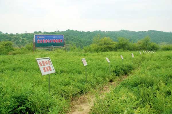 ����,�������ע��Һ,ŷ��ABG