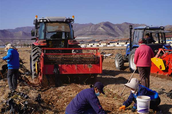 ŷ��ABG,ŷ��ABG,��������,��ҩ��,��ҩ�Ĳ�ҵ