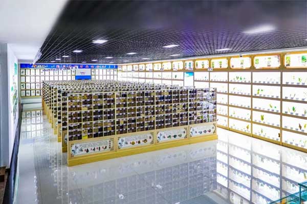 ŷ��ABG�Ƽ������в�ҩ�걾��