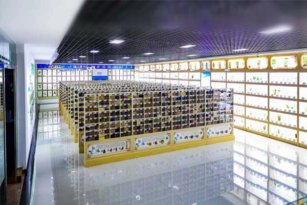 ŷ��ABG�Ƽ�������ҩ�걾��