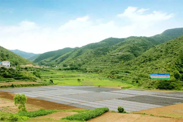 ŷ��ABG,��ҩ����ֲ