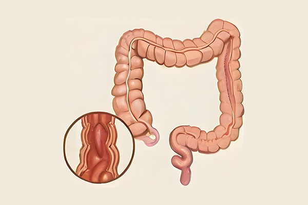 ��ҳ - ŷ��ABG���Ź�����¼