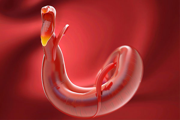 ��ҳ - ŷ��ABG���Ź�����¼