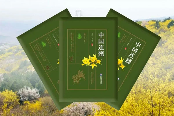 ��ҳ - ŷ��ABG���Ź�����¼