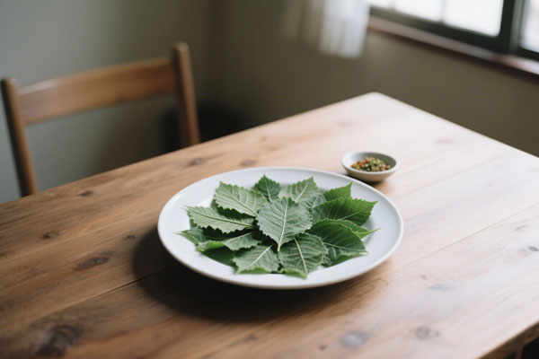 ��ҳ - ŷ��ABG���Ź�����¼