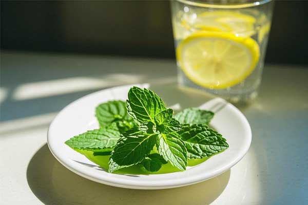 ��ҳ - ŷ��ABG���Ź�����¼