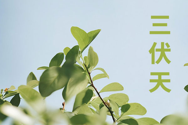 ��ҳ - ŷ��ABG���Ź�����¼