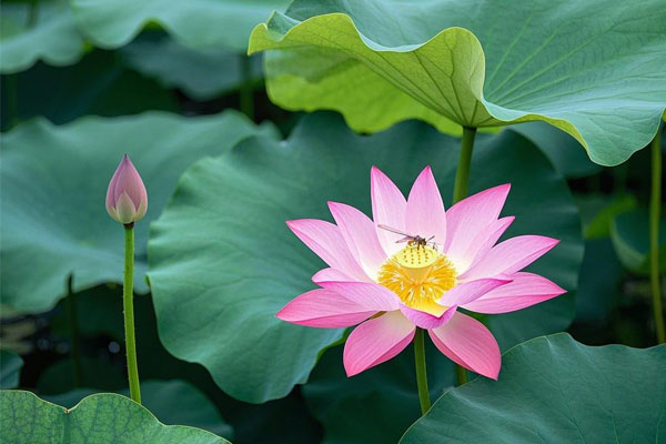 ��ҳ - ŷ��ABG���Ź�����¼